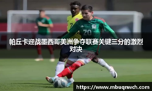 雷火电竞官方网站入口