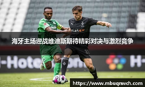 海牙主场迎战维迪斯期待精彩对决与激烈竞争